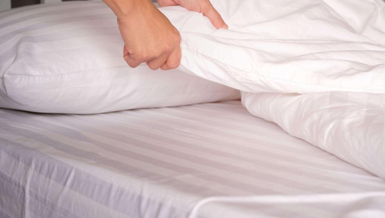 Magnuson Hotel Jacksonville Downtown Ngoại thất bức ảnh